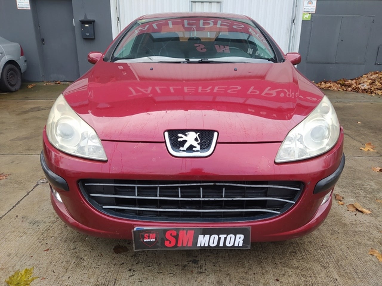 PEUGEOT 407