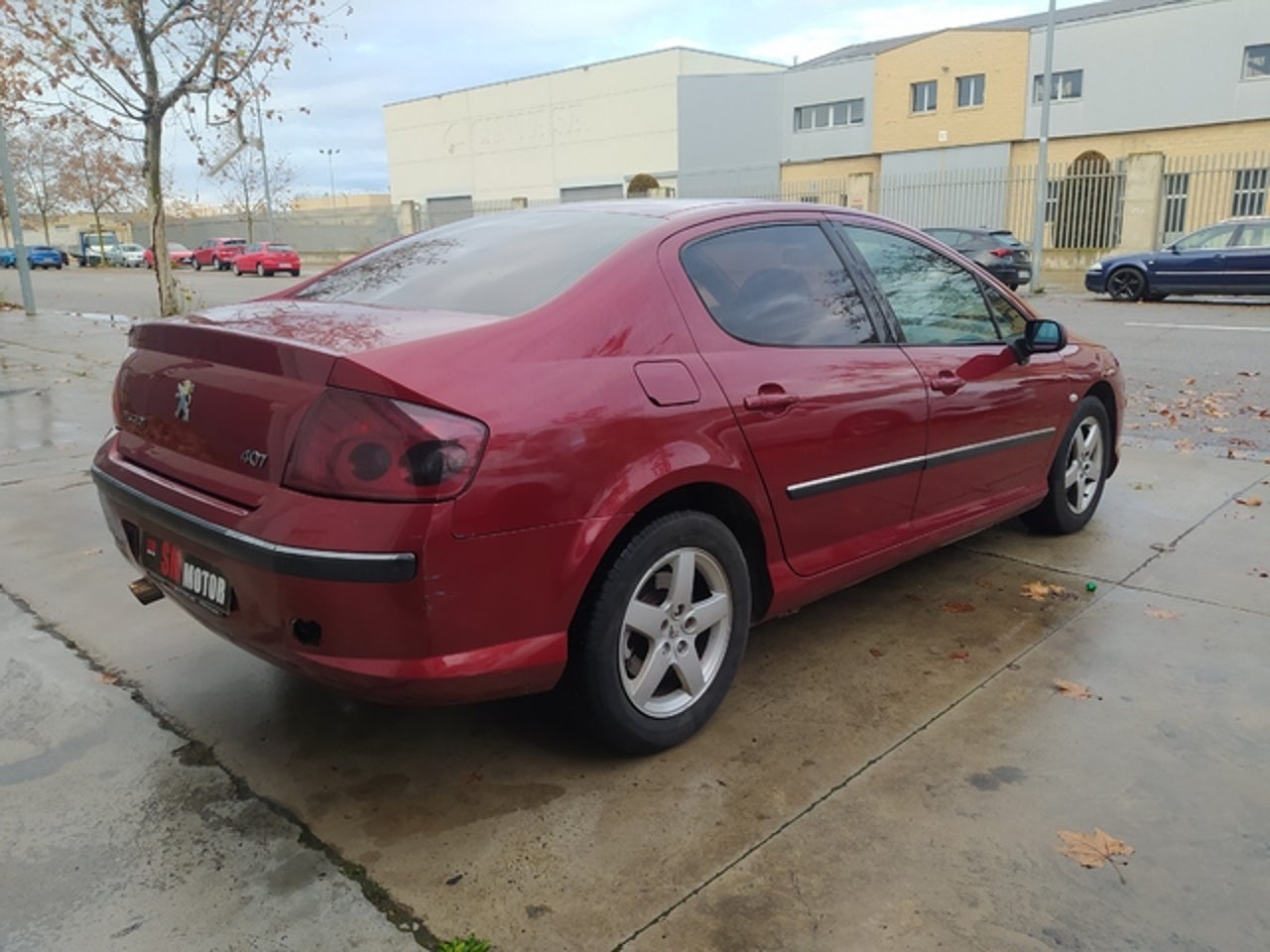 PEUGEOT 407