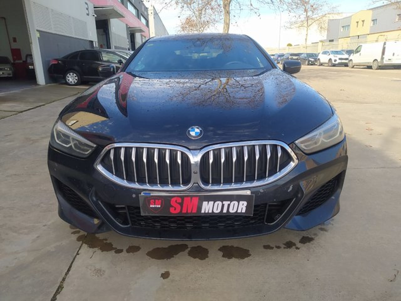 BMW Serie 8