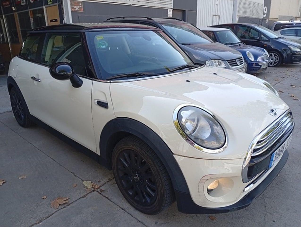 MINI MINI