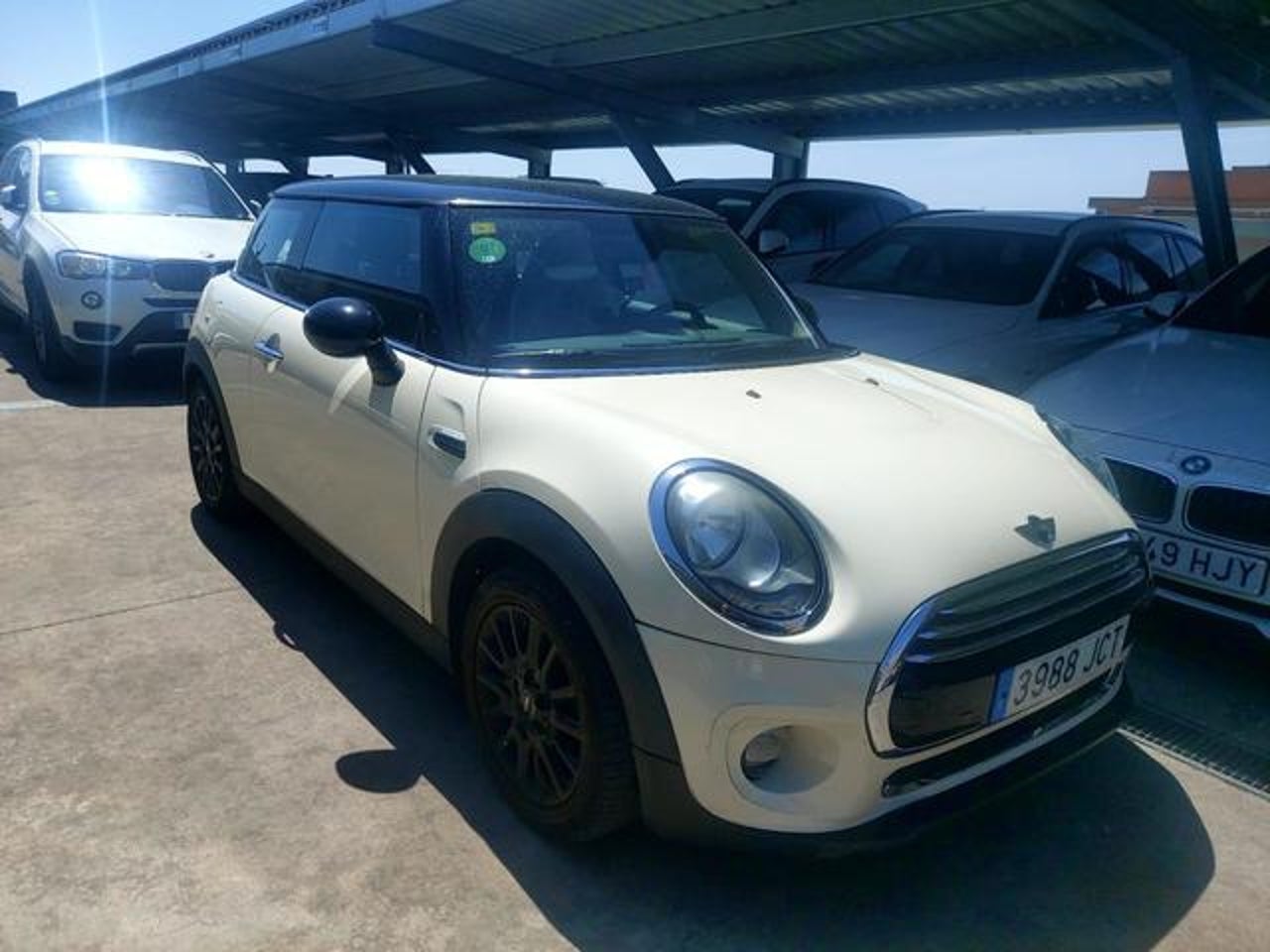 MINI MINI