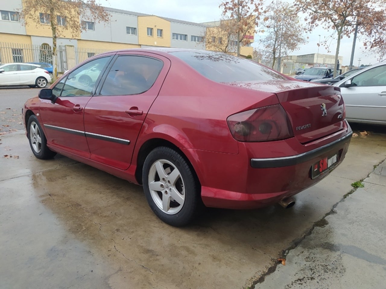 PEUGEOT 407