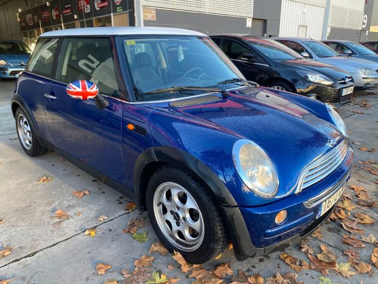 MINI MINI
